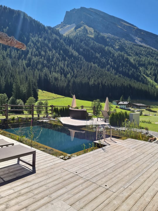 Pool Alpinhotel Berghaus