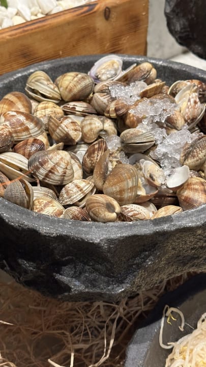 Gastro Acanthus Cennet Barut Collection