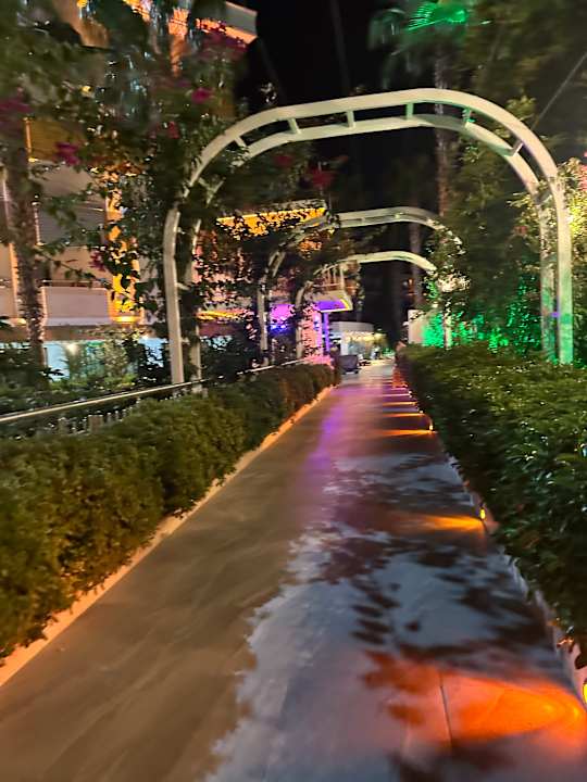 Gartenanlage Hane Family Resort