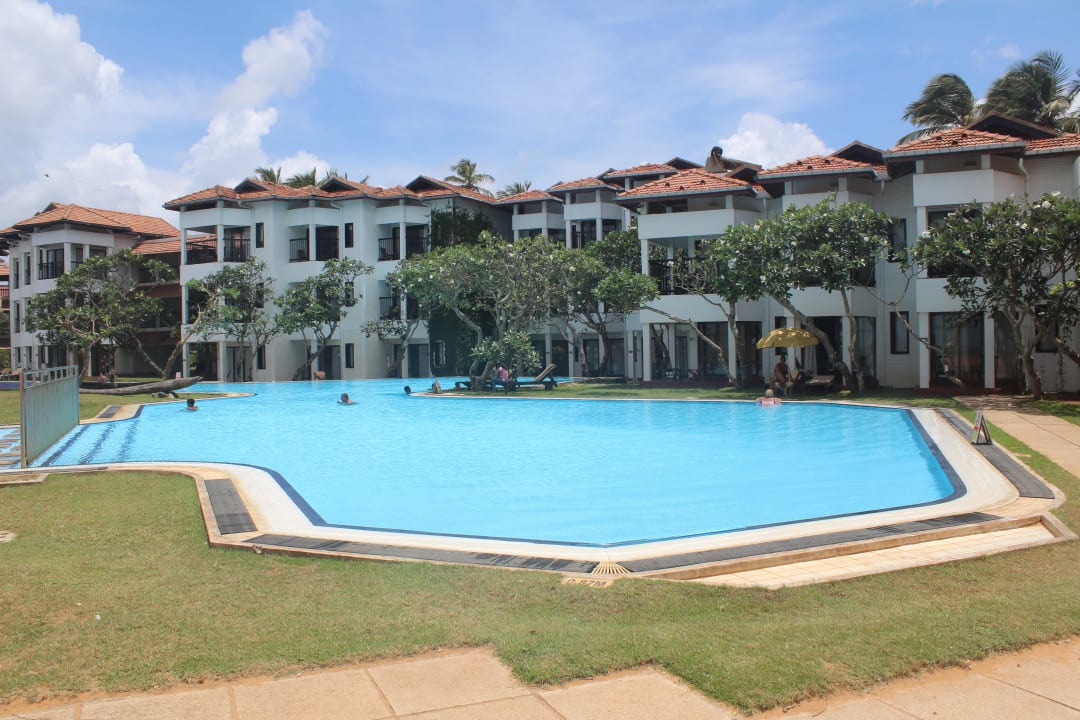 Pool und Hotel Club Hotel Dolphin