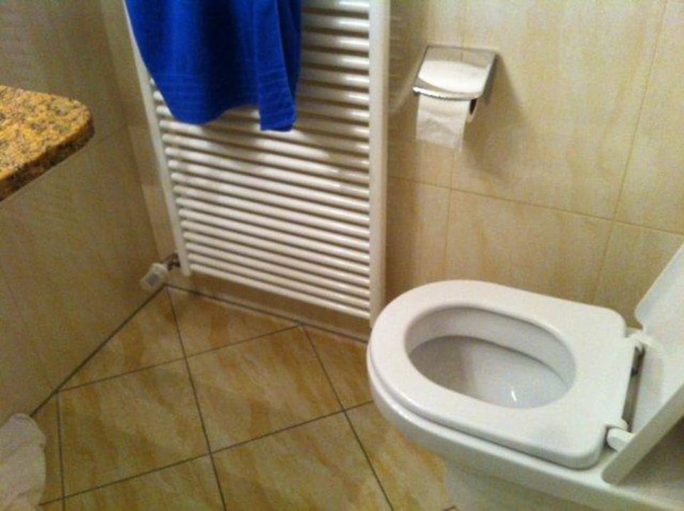Bad / WC Vital & Sporthotel Brixen