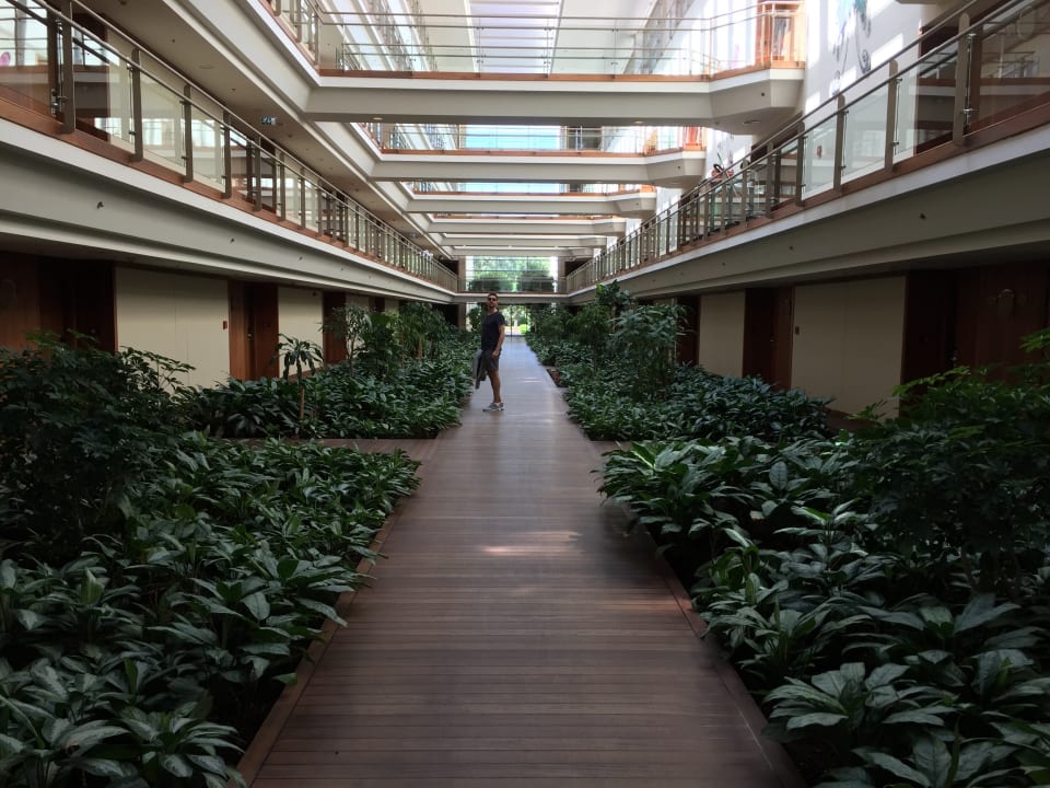 Zimmer Gloria Serenity Resort