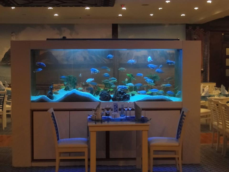 Restauracja morska Club Hotel Phaselis Rose