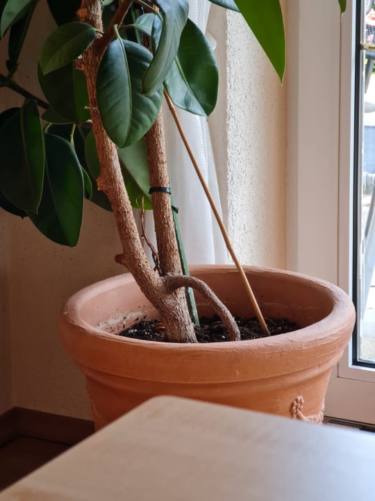 Sonstiges Hotel Fischerhaus Garni