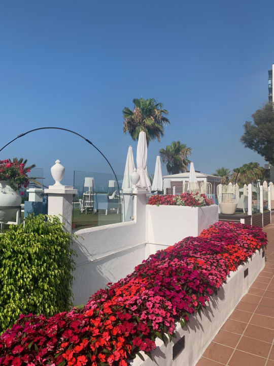 Gartenanlage Hotel El Fuerte Marbella