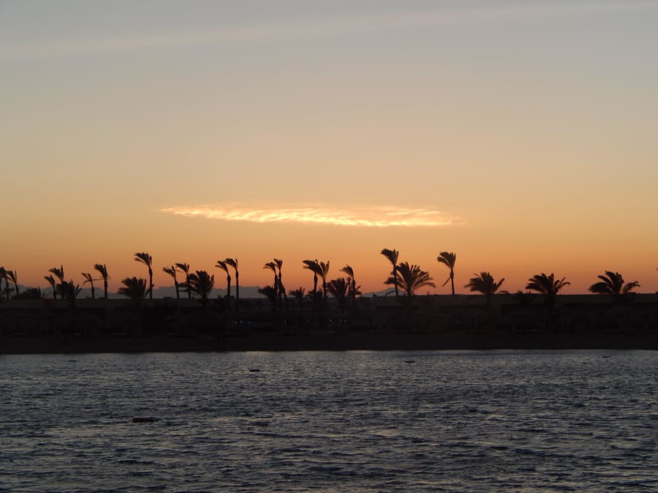 Закат  Desert Rose