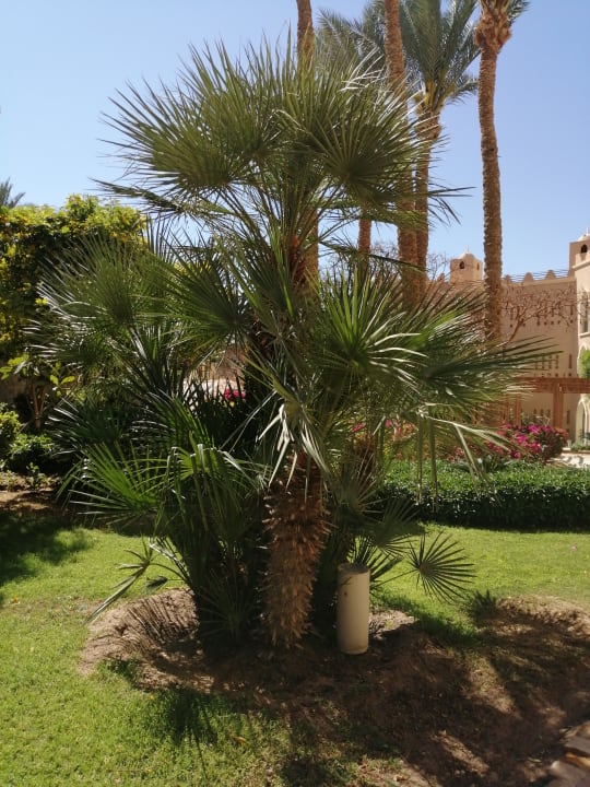 Gartenanlage Makadi Palace