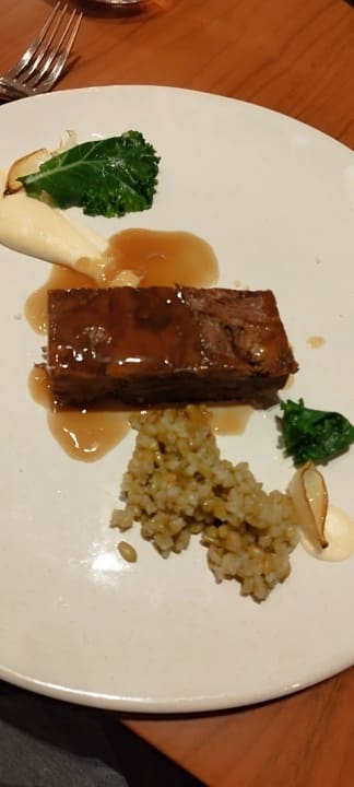 Gastro Acanthus Cennet Barut Collection