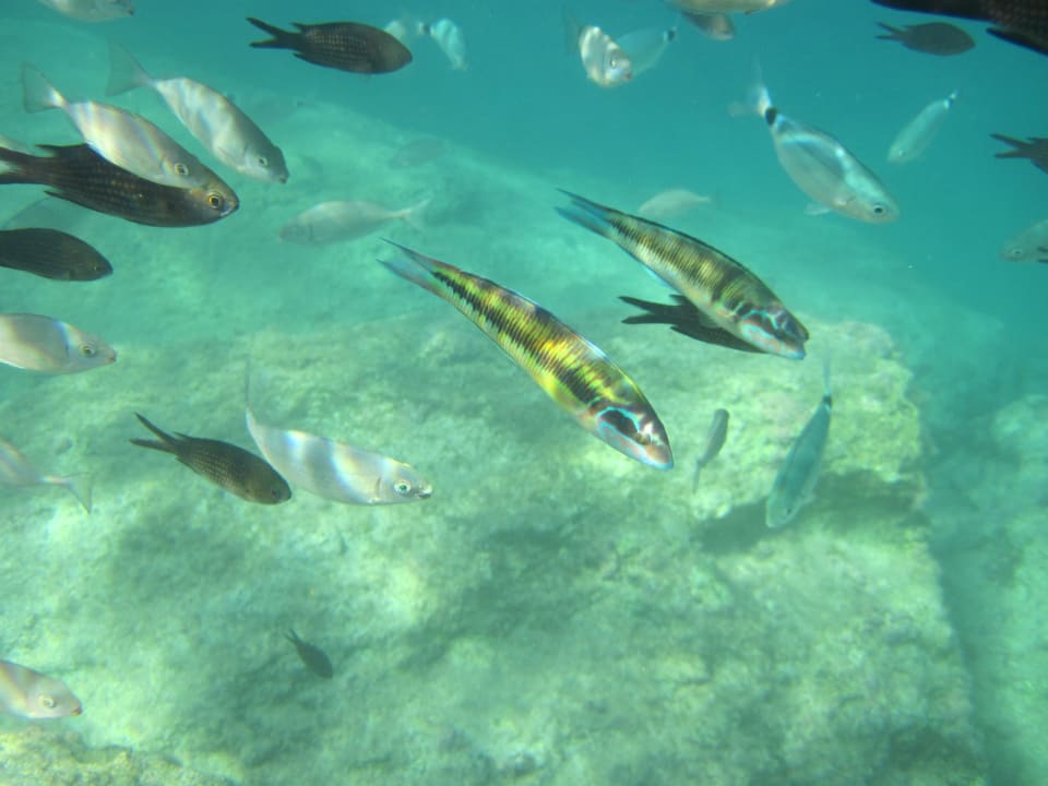 Sport & Freizeit  Crystal Springs Beach Hotel