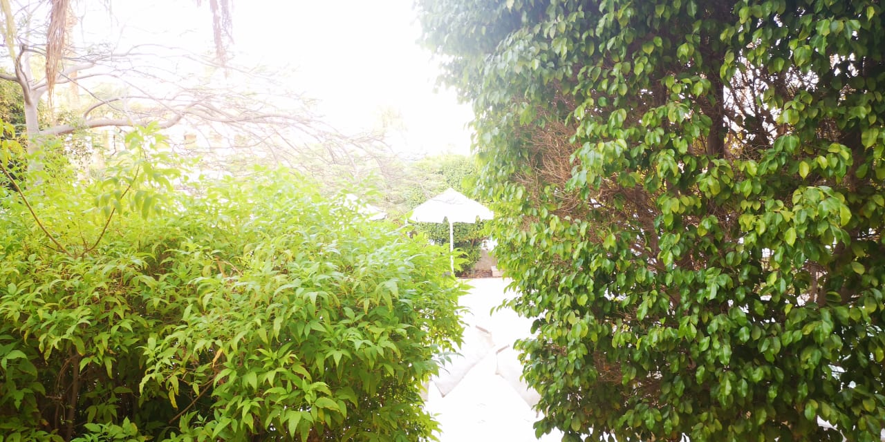 Zimmer Makadi Spa - Adults only