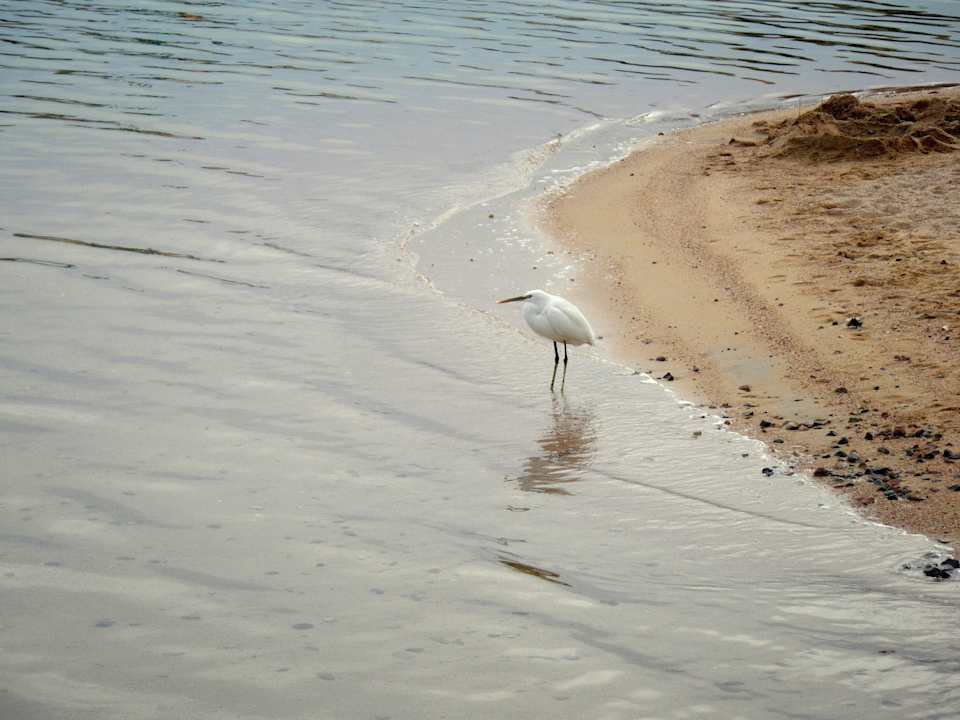 Vogel SUNRISE Crystal Bay Resort