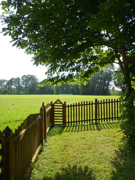 Garten hinter dem Haus Pension Salzingerhof