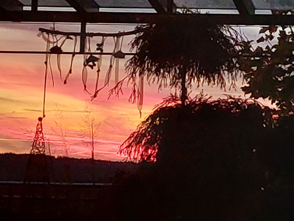 Ausblick Spirit & SPA Hotel Birkenhof am Elfenhain