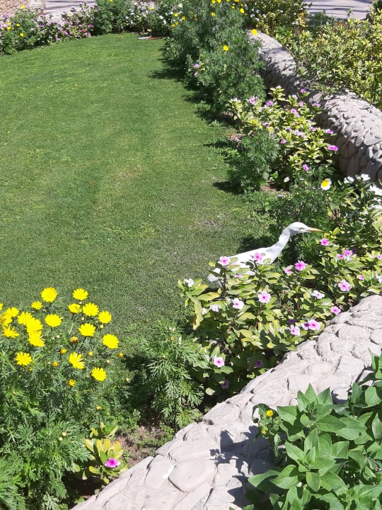 Gartenanlage Regina Resort and Aqua Park Hurghada