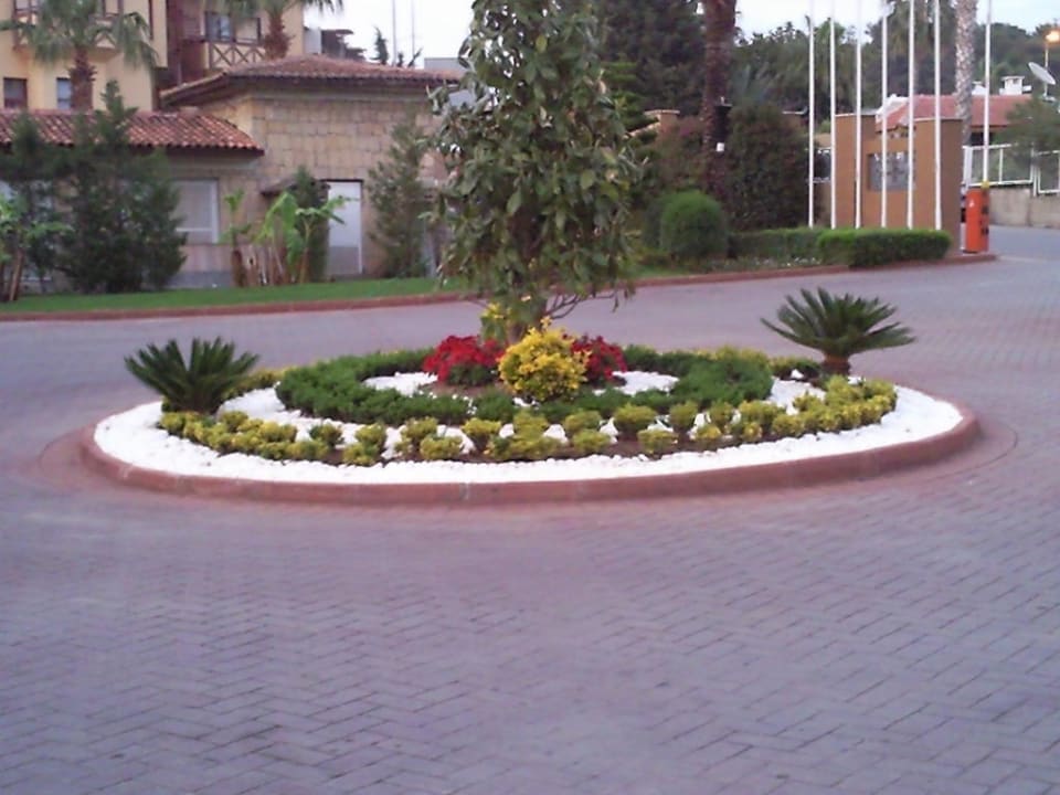 Blumenpracht Hotel Terrace Beach Resort