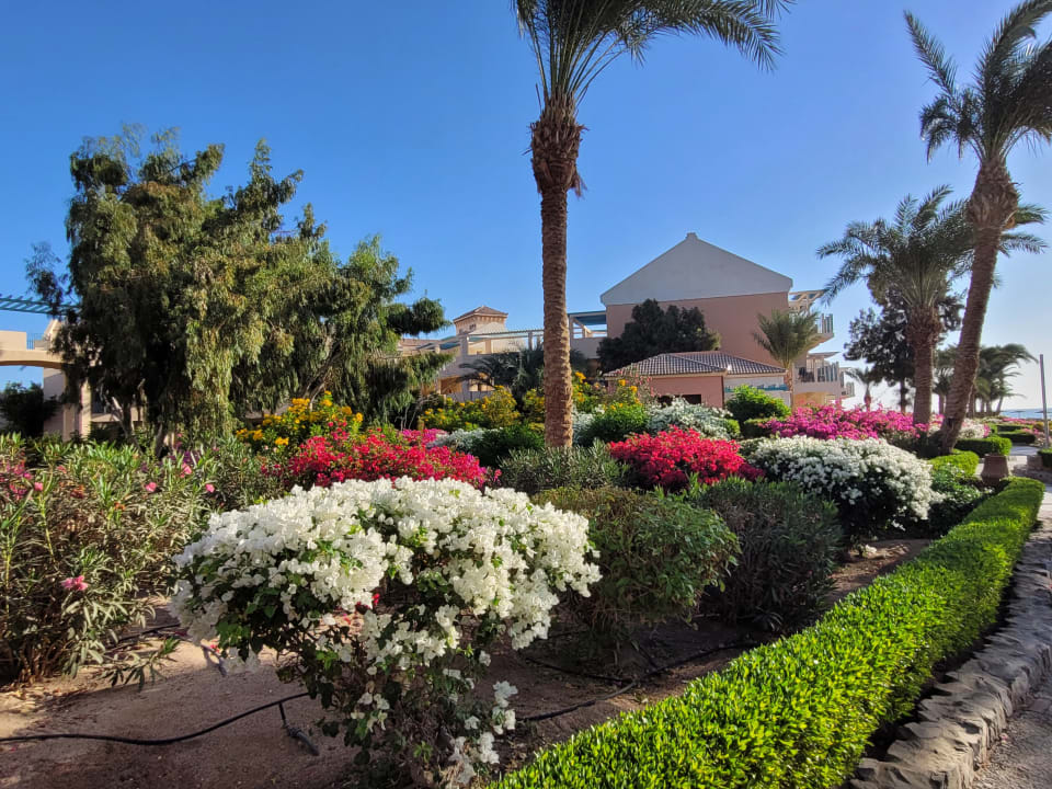 Gartenanlage Mövenpick Resort & Spa El Gouna