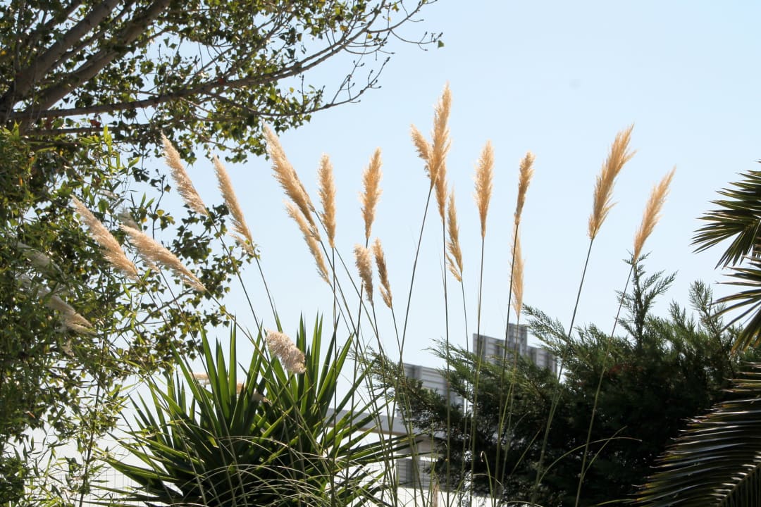 Garten 2 Hotel Comfort Marseille Airport