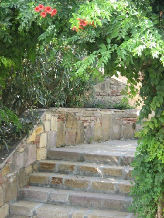 Treppe Arum Barut Collection