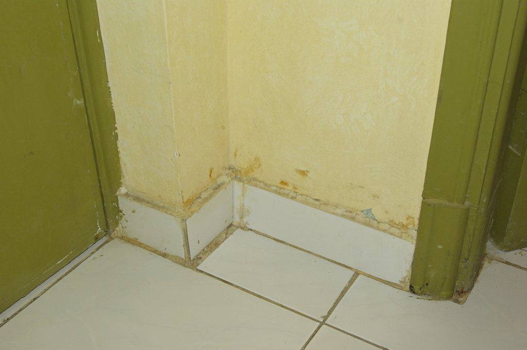 Fußleisten Ghazala Gardens