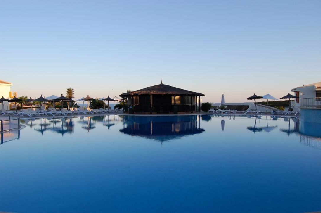 Basen blau punta reina