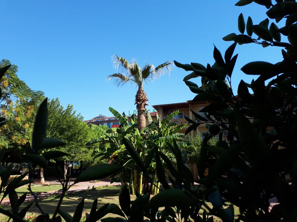 Gartenanlage Lonicera Resort & Spa Hotel
