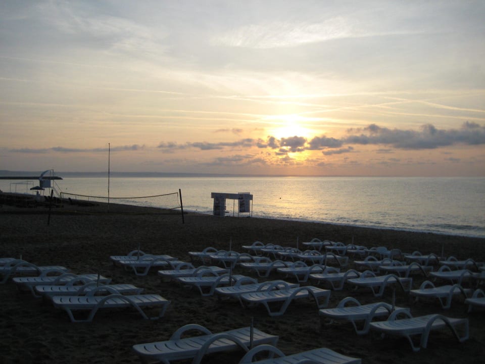 Strand am Morgen GRIFID Vistamar