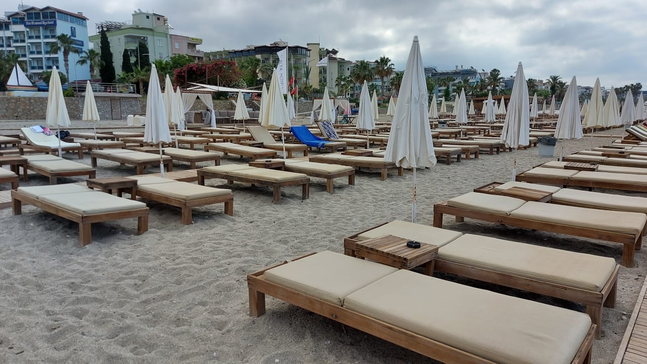 Sonstiges Blue Diamond Alya