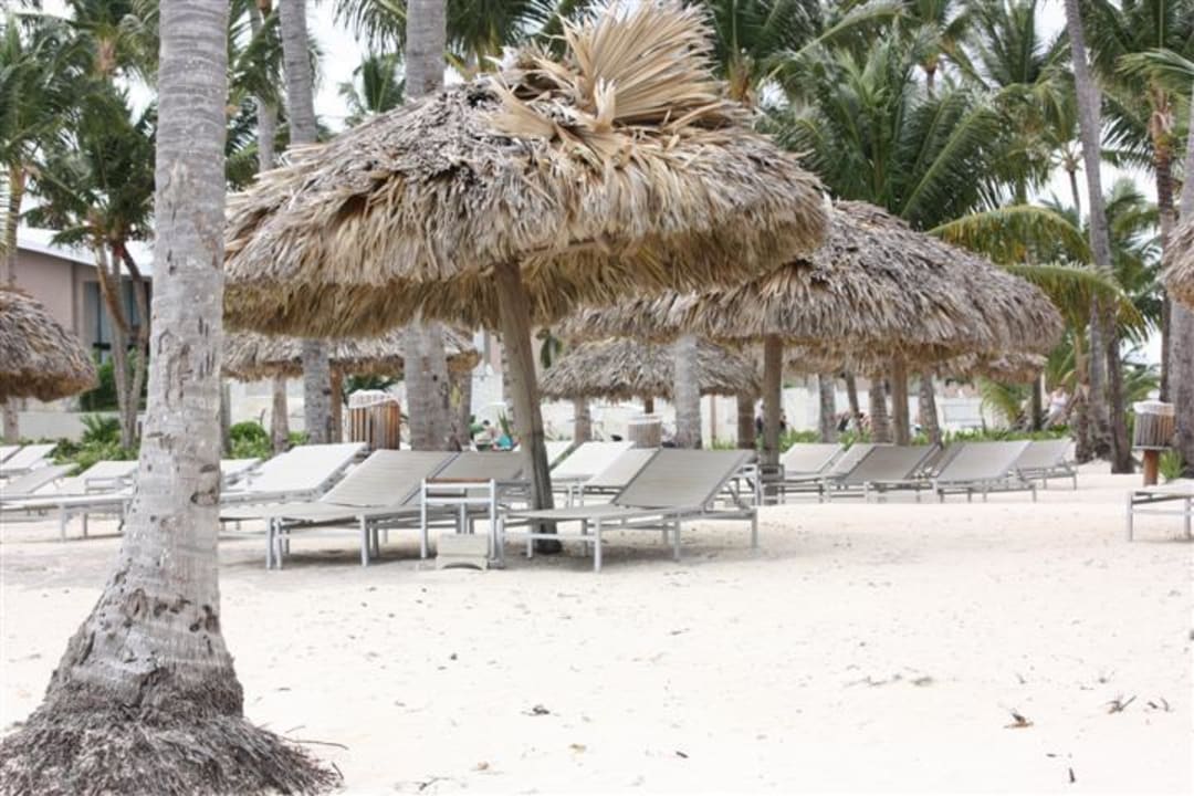 Schirme genug Catalonia Punta Cana - All Inclusive