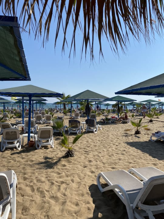 Strand Paloma Oceana