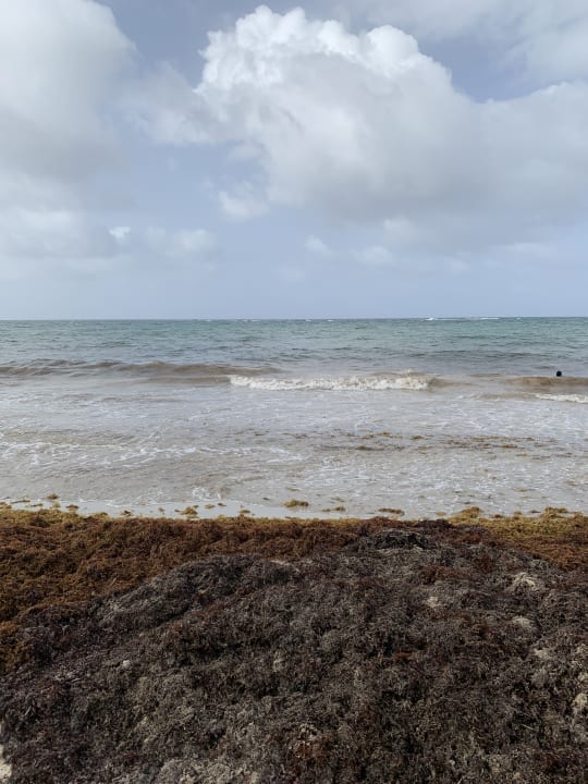 Strand Grand Palladium Select Bávaro Resort & Spa