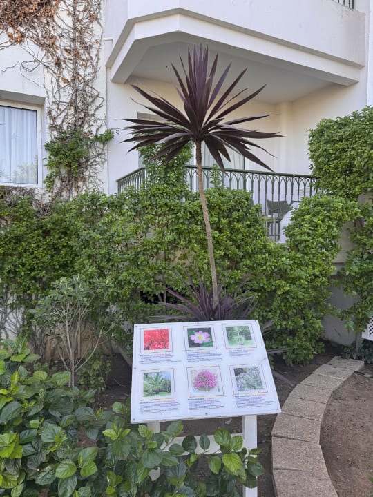 Gartenanlage Iberostar Selection Royal El Mansour