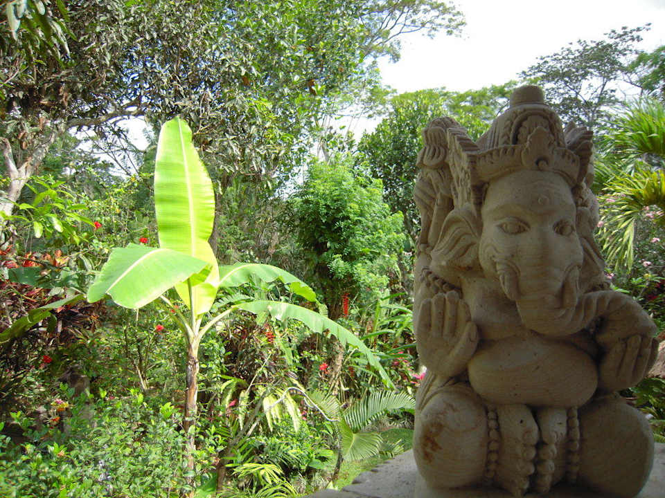 Ausblick von der Terrasse Hotel Alam Jiwa