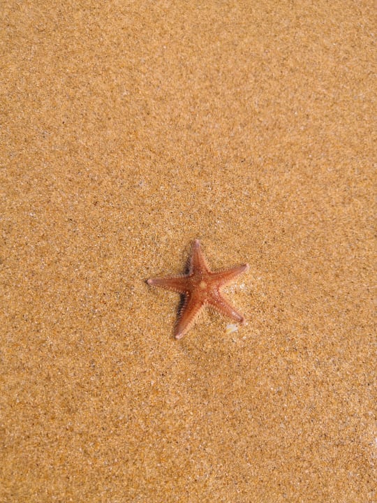 Strand Iberostar Selection Lagos Algarve