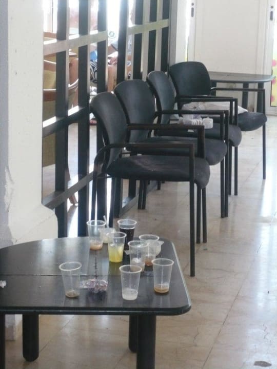 Becher Calimera Fido Gardens