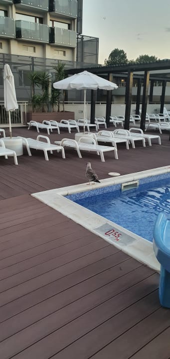 Pool Burgas Beach Hotel
