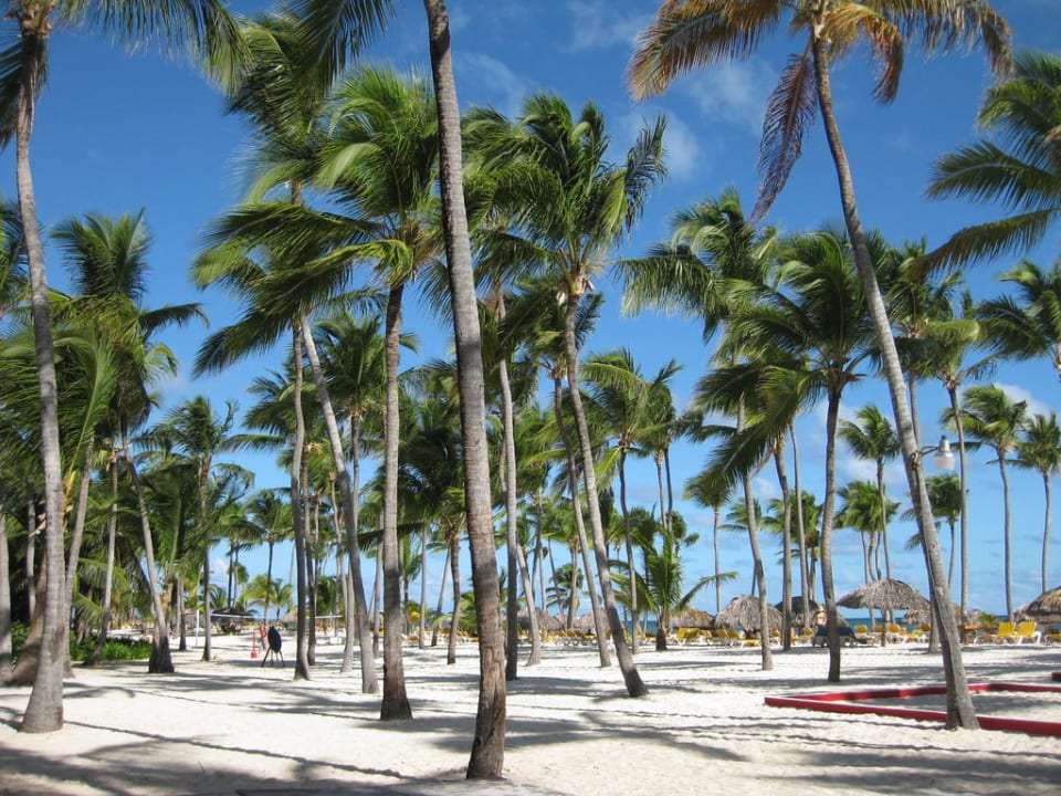 Strand Catalonia Royal Bavaro - Adults only