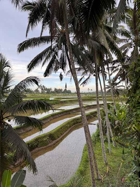 Ausblick Inara Alas Harum