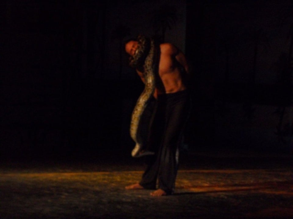 Вечернее шоу в амфитеатре Pickalbatros Alf Leila Wa Leila Resort - Neverland Hurghada