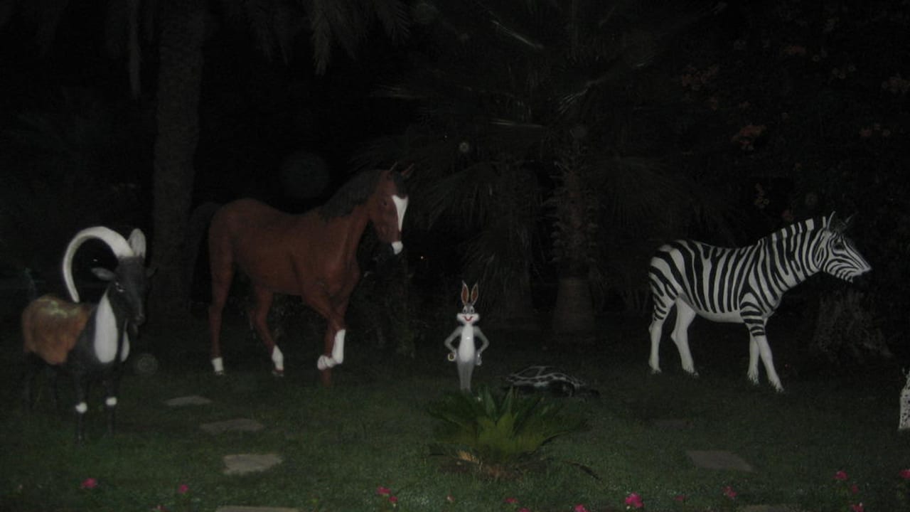 Vor dem Hoteleingang  Süral Saray Hotel