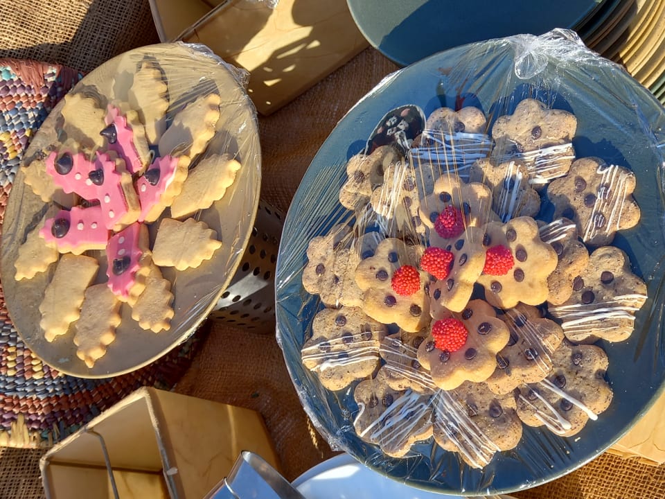 Gastro Club Paradisio El Gouna, Red Sea