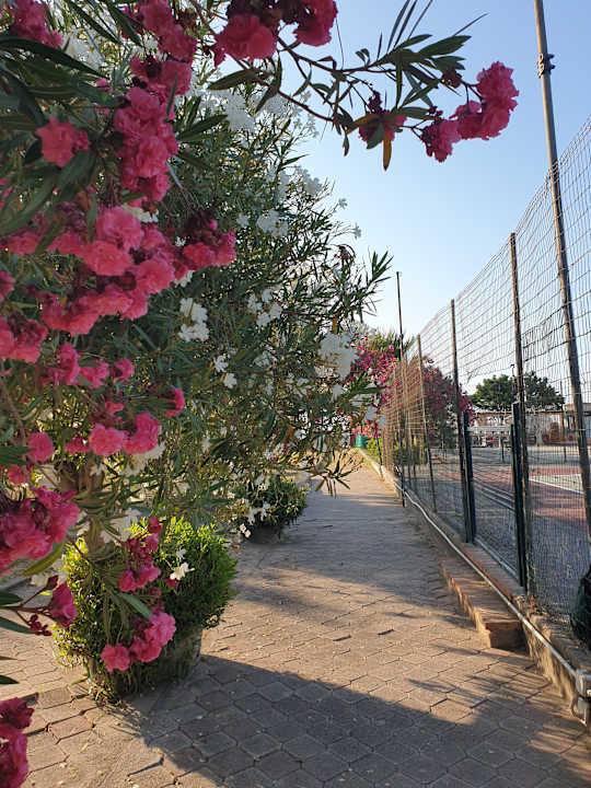 Gartenanlage Villa Teti