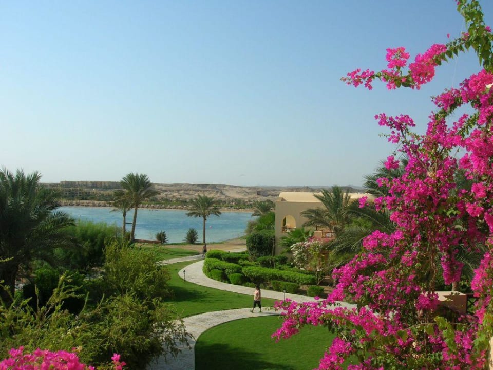 Gartenanlage Steigenberger Coraya Beach - Adults only