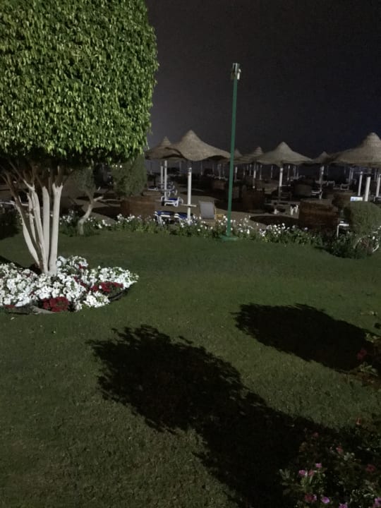 Gartenanlage SUNRISE Garden Beach Resort