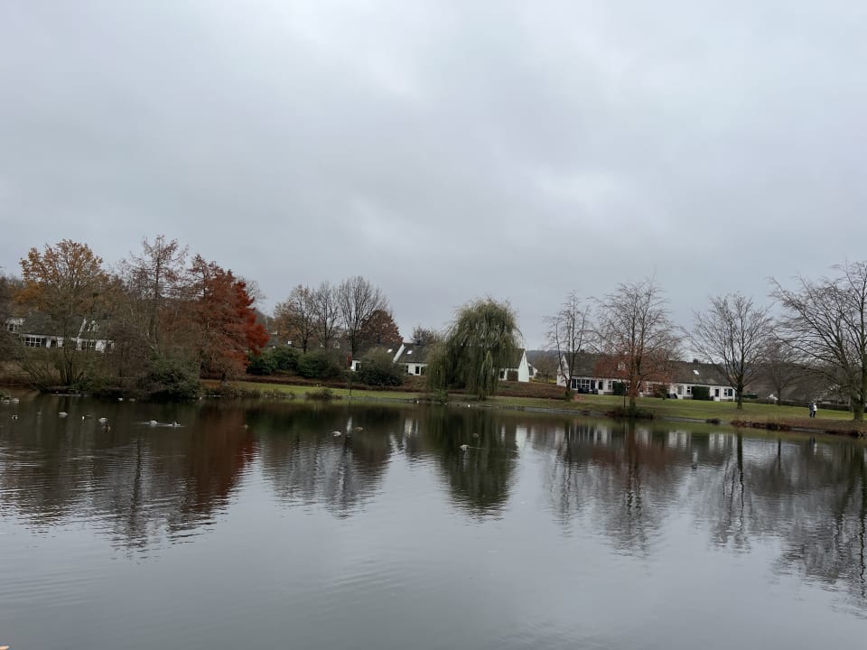 Gartenanlage Ferienpark Landal Hoog Vaals