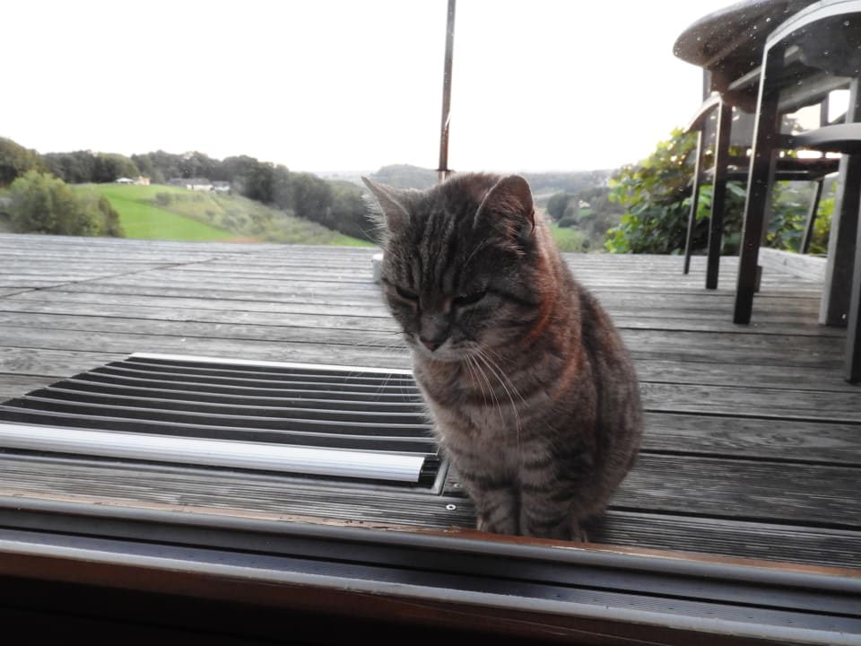 Ausblick Weingarten-Resort Unterlamm Loipersdorf