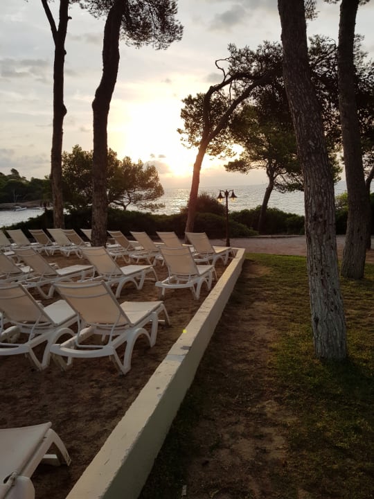 Gartenanlage Iberostar Waves Pinos Park