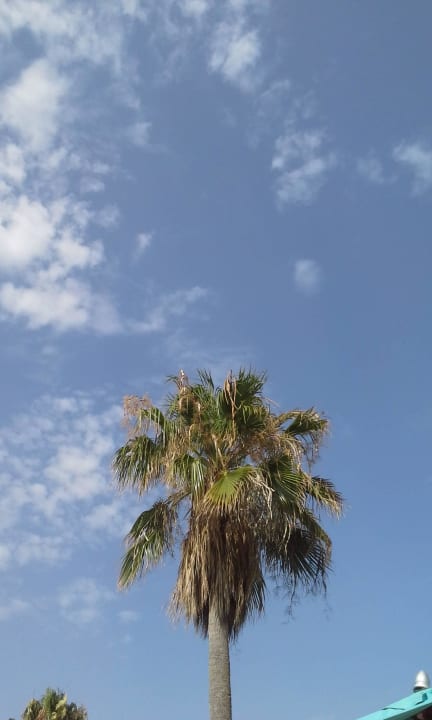 Es gibt auch Wolken Nozha Beach Resort & Spa