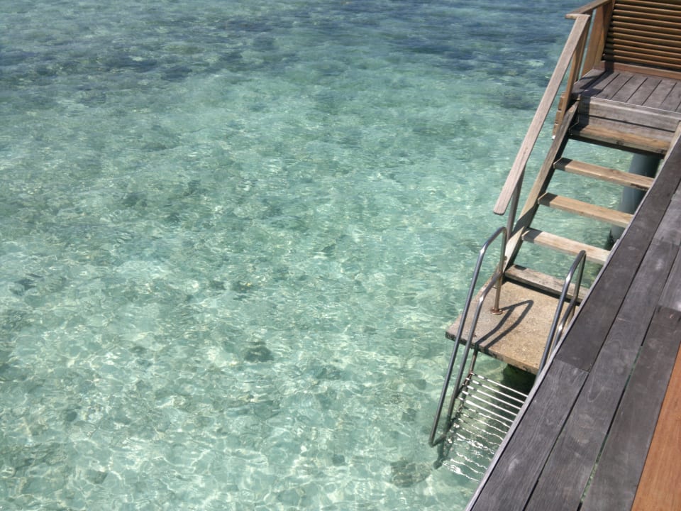 Privater Einstieg ins Meer Kuramathi Maldives