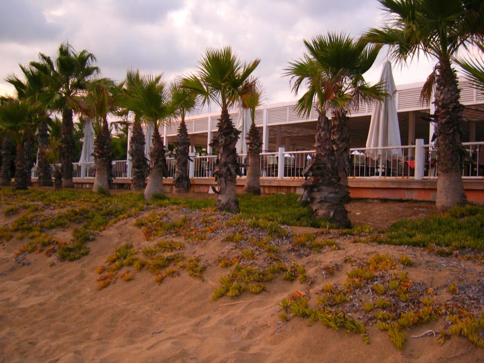 Restaurant Pomodoro am Strand Club Grand Side