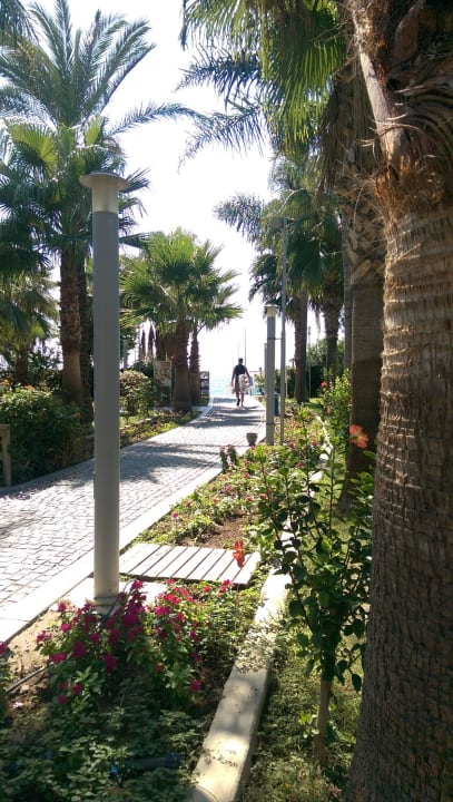 An einem wunderschönen September TAG Arycanda Kirman Premium